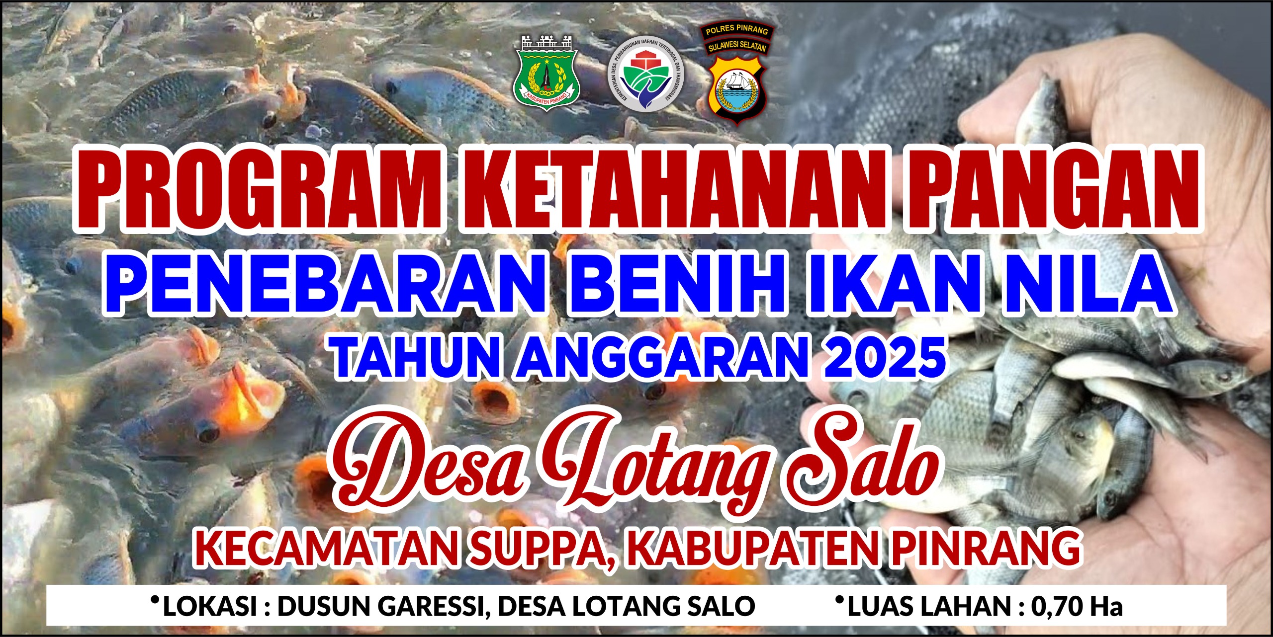 panen-ikan-nila-program-ketahanan-pangan